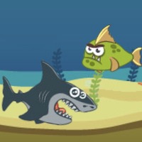 Mad Shark