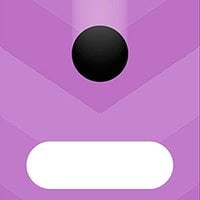 Switch Dash
